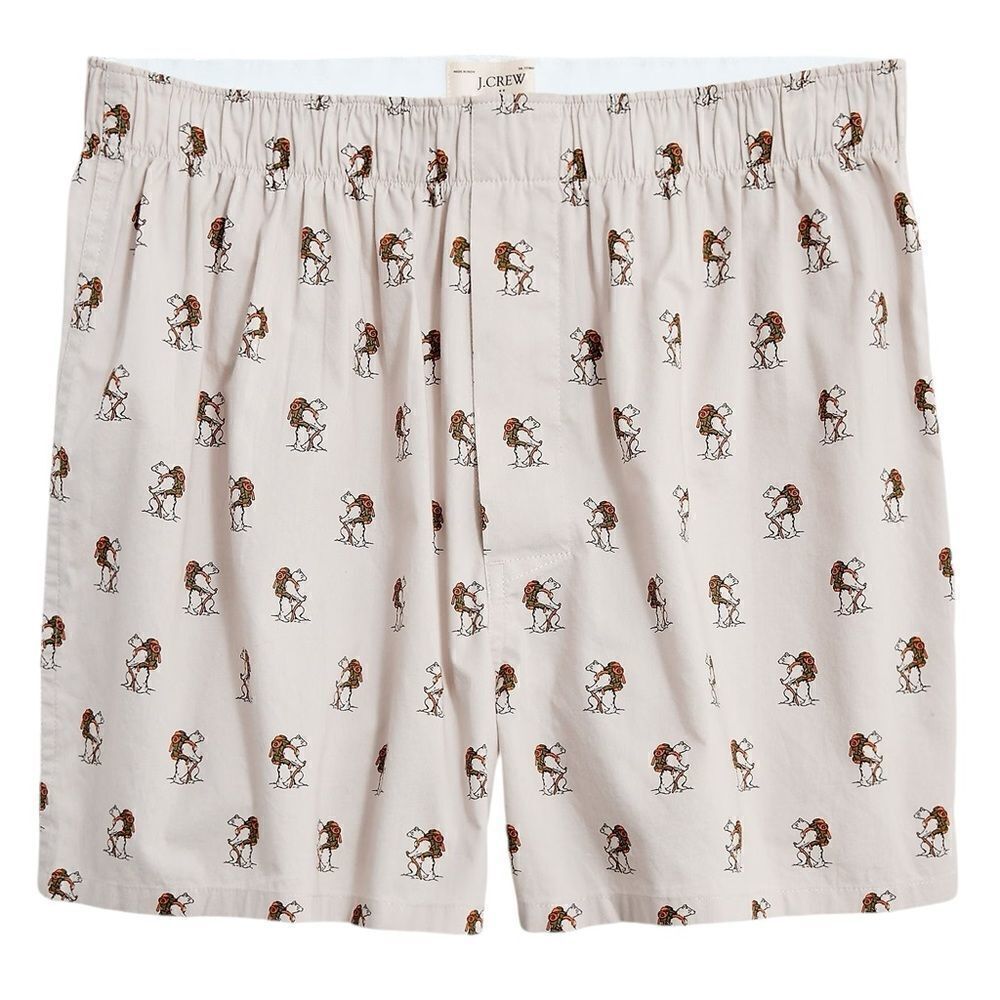 J. Crew Men’s Cotton Poplin Woven Boxer Briefs Camping Bear Graphic Print